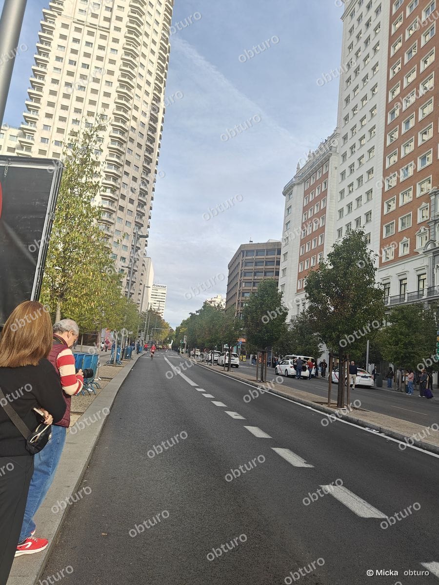 Une large avenue urbaine bordée de bâtiments, où une foule se rassemble joyeusement sous un ciel dégagé.